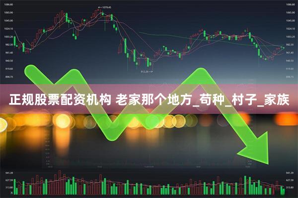 正规股票配资机构 老家那个地方_苟种_村子_家族