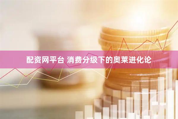 配资网平台 消费分级下的奥莱进化论