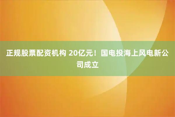 正规股票配资机构 20亿元！国电投海上风电新公司成立