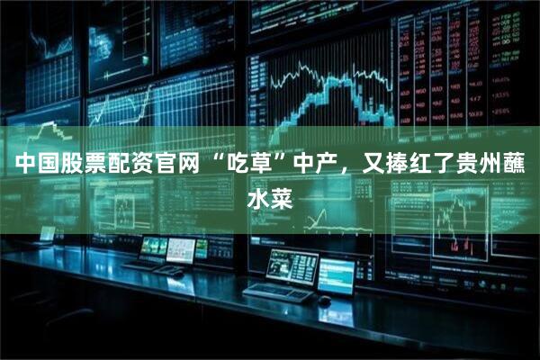 中国股票配资官网 “吃草”中产，又捧红了贵州蘸水菜